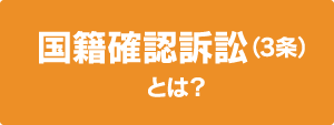 国籍確認訴訟（3条）とは？