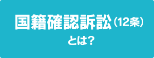 国籍確認訴訟（12条）とは？