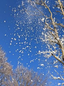 1月7日雪